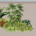 Assorted Green Plant Combination With Various Leaf Shapes And Tropical Foliage