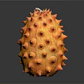 Ripe Kiwano Fruit With Orange Yellow Color And Spiky Surface On Black Background