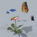 Different Colored Butterflies Flying Around Pink Flower With Green Leaves And Shadows
