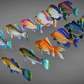 Colorful Aquatic Animals Various Fish With Bright Colors And Patterns Swimming Together