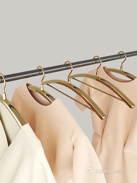 Stylish Golden Hangers Hanging On Black Rod With Light Colored Clothes 3d model 