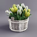 Bonsai Potted Plant in Wooden Bucket with Yellow And White Tulips and Green Leaves