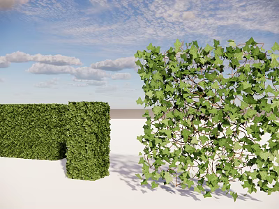 Outdoor Living Plant Wall Designs With Trimmed Greenery And Natural Foliage Against Blue Sky 3d model