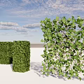 Outdoor Living Plant Wall Designs With Trimmed Greenery And Natural Foliage Against Blue Sky
