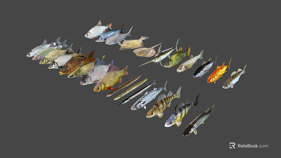 Collection of Various Aquatic Fish Species in Different Colors Shapes and Sizes 3d model 