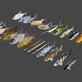 Collection of Various Aquatic Fish Species in Different Colors Shapes and Sizes