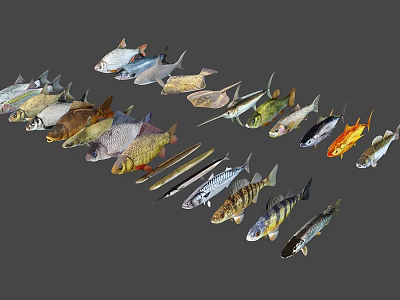 Collection of Various Aquatic Fish Species in Different Colors Shapes and Sizes 3d model