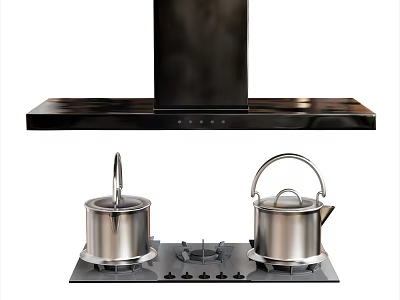 Modern Kitchen Gas Stove With Stainless Steel Pots And Range Hood 3d model