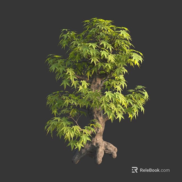Ornamental Arbor With Lush Green Leaves And Twisted Trunk On Dark Background 3d model 