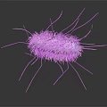 Purple Rod Shaped Bacteria With Hair Like Fimbriae And Flagella In 3D Rendered Microscopic View