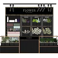 Modern Flower Shop Display Shelves Featuring Spotlights Glass Doors And Various Plants