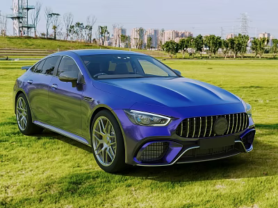 Blue Mercedes AMG Car Parked on Green Grass with City Skyline and Trees 3d model