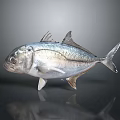 Silver Fish With Shiny Scales And Distinct Fins On Reflective Surface