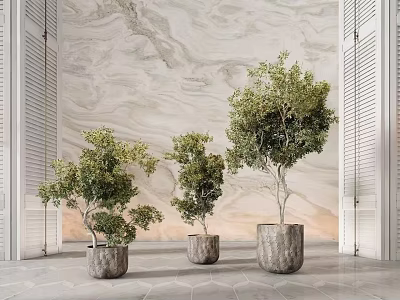 Modern Interior Decor With Three Bonsai Plants In Decorative Pots Against Marble Wall 3d model