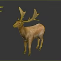 Deer Model With Large Antlers Light Brown Body White Spots Dark Background And Reflection Effect 3d model
