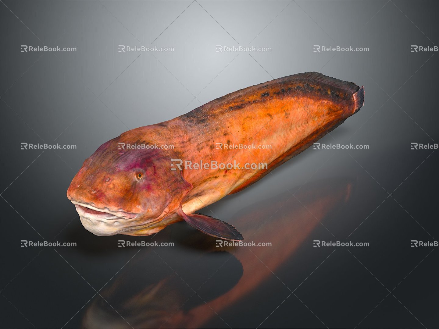 eel electric eel marine fish animal deep sea fish 3d model