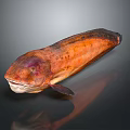 Unique Orange Brown Fish With Purple Head Broad Mouth And Elongated Body