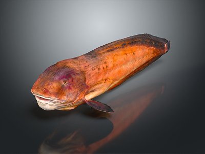 eel electric eel marine fish animal deep sea fish 3d model