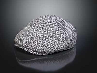 Gray White Herringbone Pattern Flat Cap With Textured Fabric Fashion Accessory 3d model