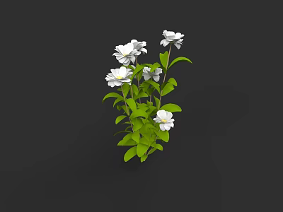 Beautiful White Flowers With Fresh Green Leaves In Lush Plant Arrangement 3d model