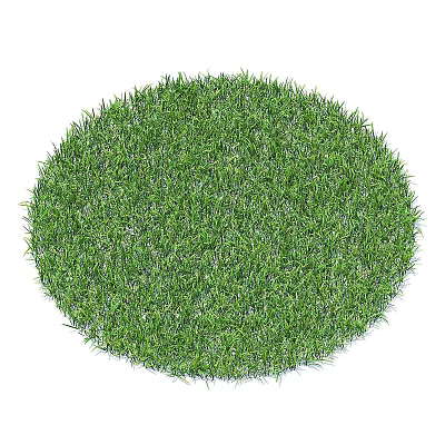 Lush Green Circular Lawn With Fresh Grass Blades And Natural Texture 3d model