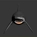 Realistic Gray Shark 3D Model With Open Mouth And Sharp Teeth 3d model