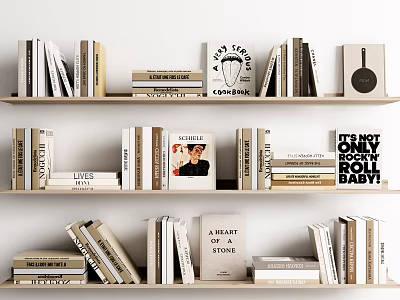 Varied Books And Magazines Collection On Wooden Shelf With Diverse Titles 3d model