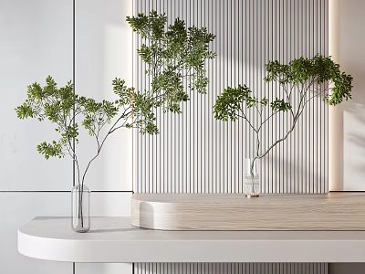 Transparent Glass Vases with Green Branches on Light Wooden White Shelf Against Vertical Striped Wall 3d model