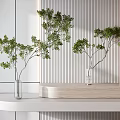 Transparent Glass Vases with Green Branches on Light Wooden White Shelf Against Vertical Striped Wall