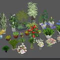 Variety of Bonsai Potted Plants with Different Greenery and Decorative Planters