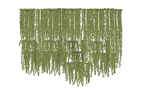 plant climbing wall plant green plant green willow 3d model