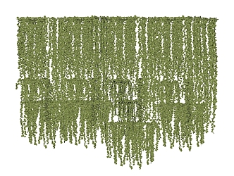 plant climbing wall plant green plant green willow 3d model