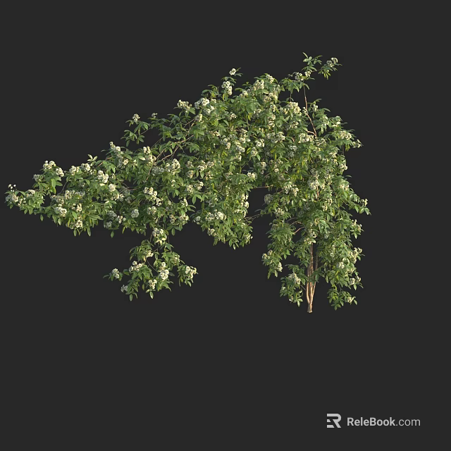 Vine With Lush Green Leaves And White Flowers Growing On Branch 3d model 