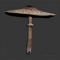 Fresh Spotted Mushroom With Brown And White Cap On Dark Background Stem