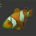 Vibrant orange and white striped clownfish with black fins and reflection on gray background