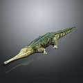 Long Snouted Crocodile With Green Yellow Textured Skin On Dark Background With Reflection