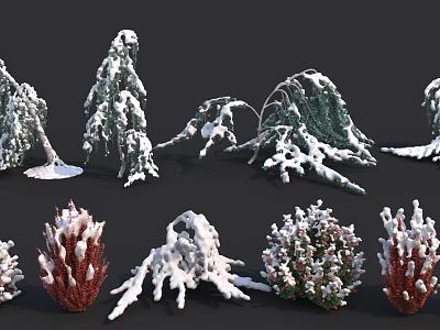 Snow Covered Shrubs With Various Winter Foliage And Branch Structures 3d model