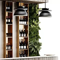 Commercial Bar Equipment With Wine Racks Pendant Lights And Green Plants