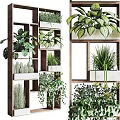 Indoor Vertical Garden Decor With Multi Tiered Wooden Shelves And Green Plants