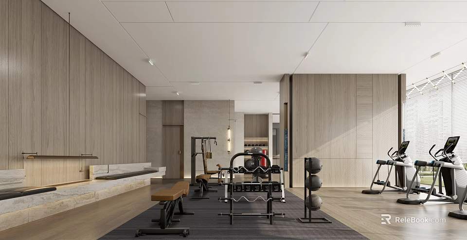 Modern Gym Interior With Various Fitness Equipment 3d model 