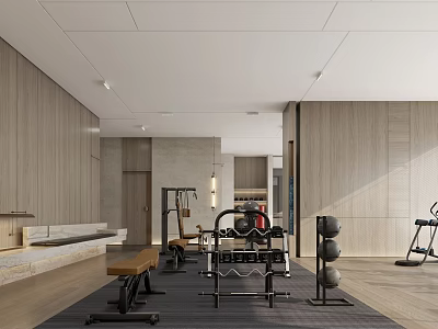 Modern Gym Interior With Various Fitness Equipment 3d model