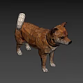 Low Poly Shiba Inu Game Movie Character With Brown Fur Collar And Standing Posture