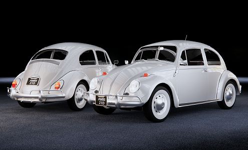 Hyundai Volkswagen Beetle 3d model