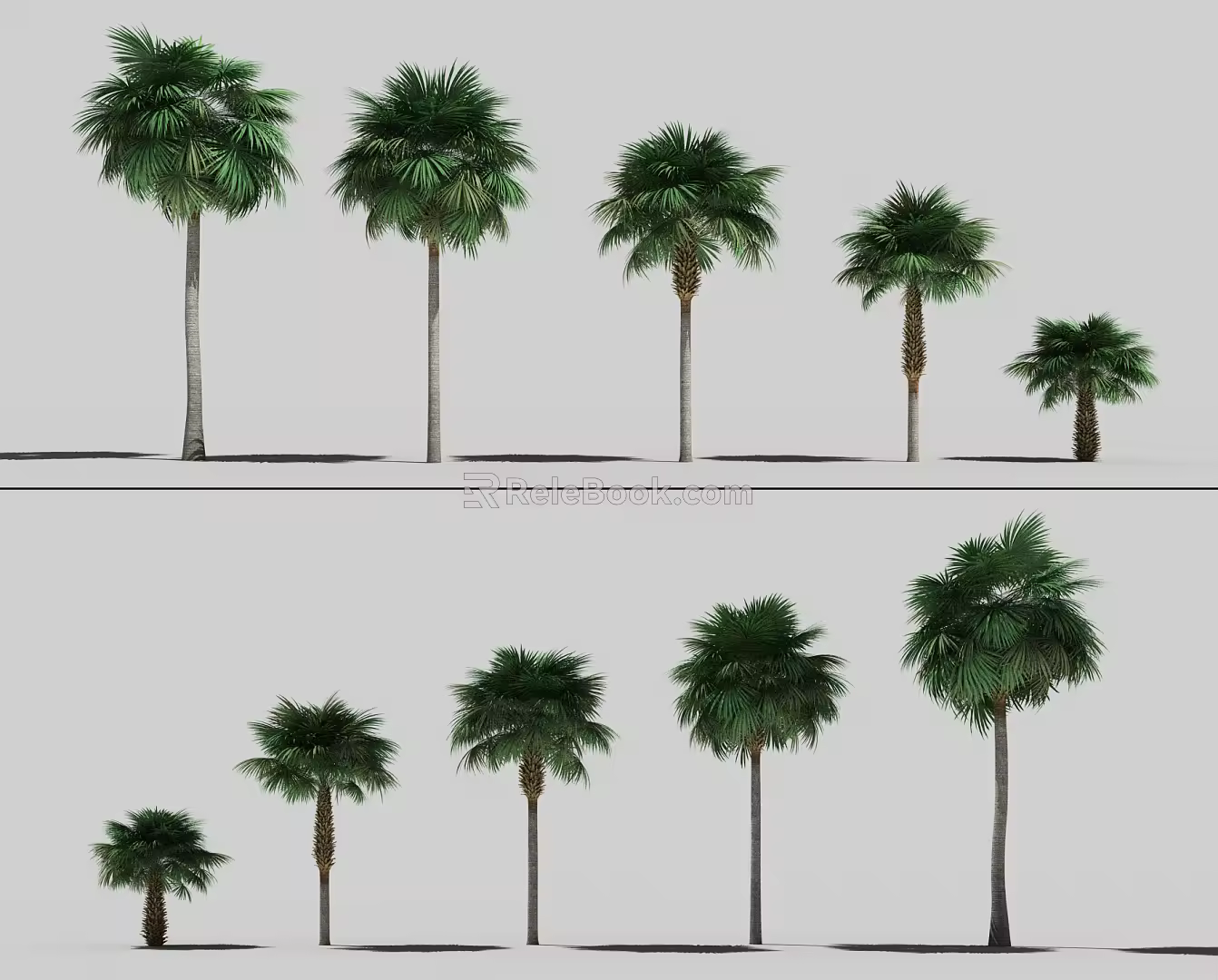 Modern Tree Palm Tree 3d model