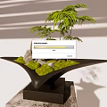 Bonsai Plant with Small Trees Stones and Moss in Black Unique Shaped Pot on Base