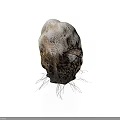 Wood Stone Decorative 3D Model With Natural Texture Holes And Root Like Fibers
