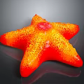 Vibrant Orange Red Starfish With Textured Surface And Glossy Appearance