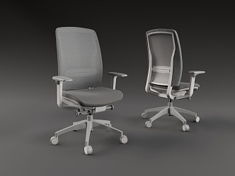 Office Chair Ergonomic Chair Computer Chair E-Sports Chair Sliding Wheelchair Rotating Chair Grey and White 3d model