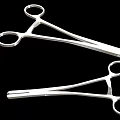 Stainless Steel Medical Surgical Forceps Tools for Precision Surgery Use 3d model