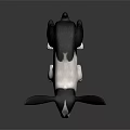 Cute Black And White Rabbit With Long Ears And Green Eyes